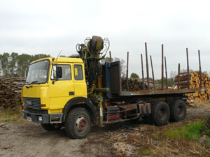 Camion de transport de grumes